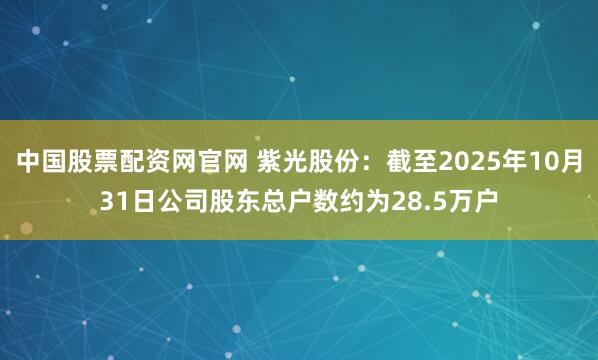 中国股票配资网官网 紫光股份：截至2025年10月31日公司股东总户数约为28.5万户